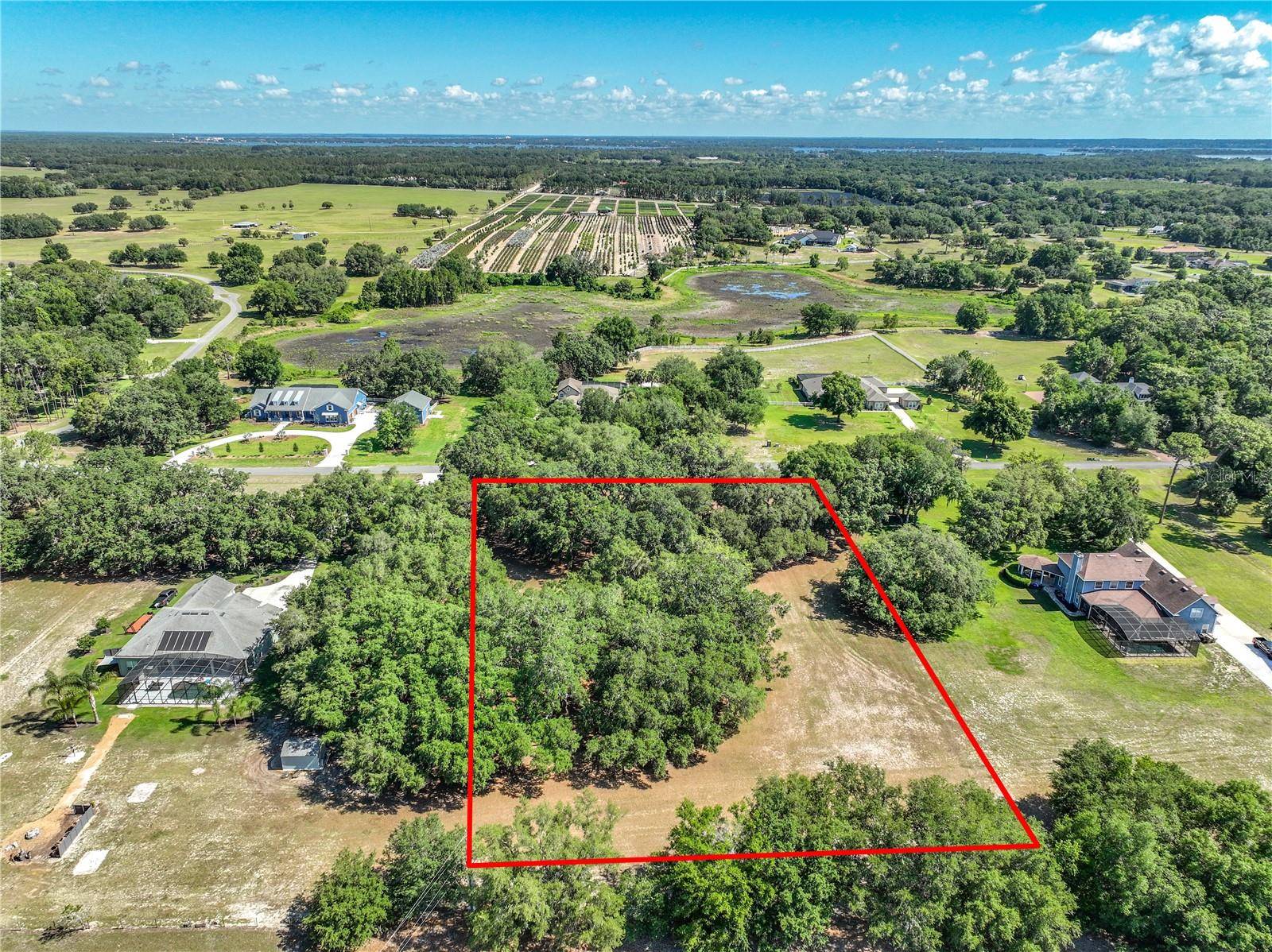 TROTTING HORSE LN, Tavares, FL 32778