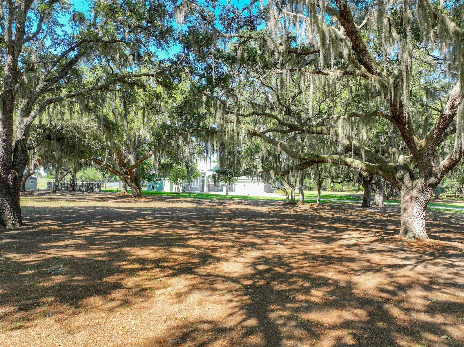 TROTTING HORSE LN, Tavares, FL 32778