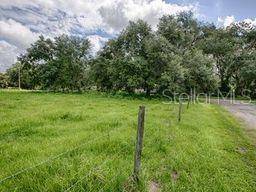 CR 763, Bushnell, FL 33513