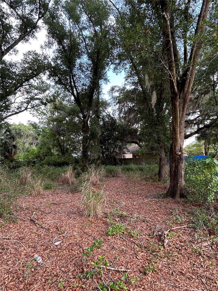 PALMETTO ST, Eustis, FL 32726