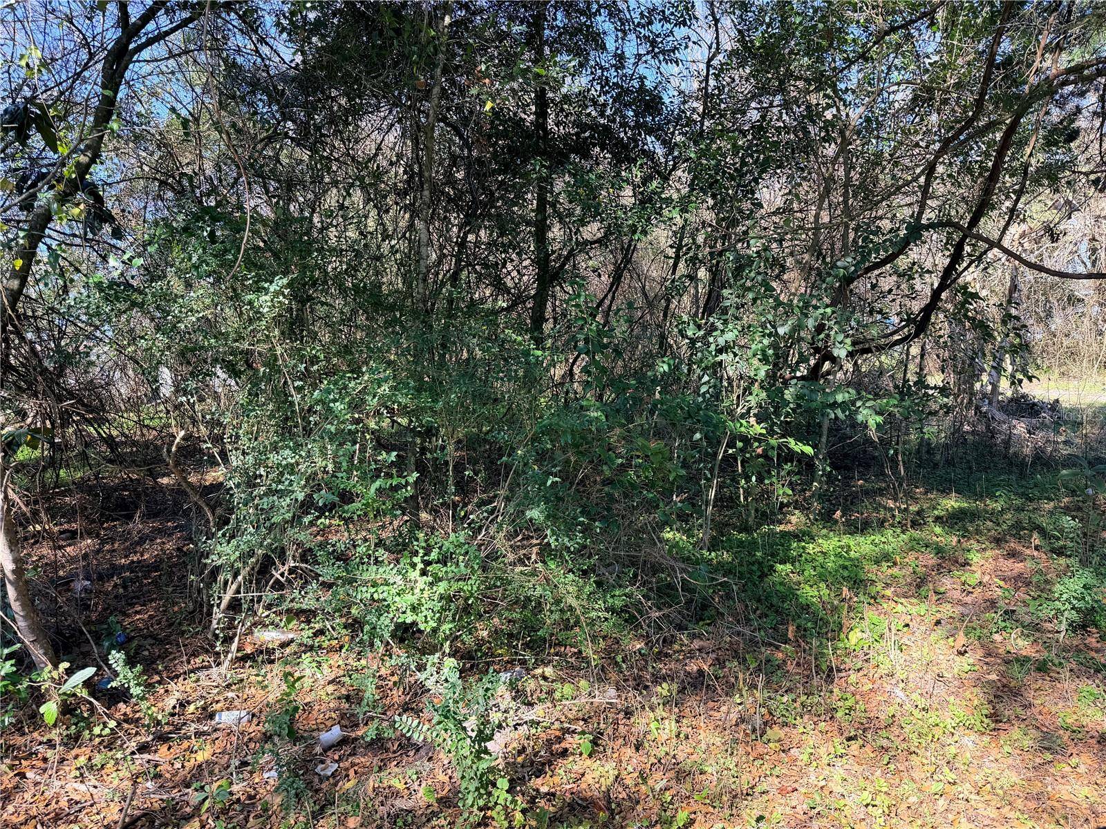 TBD NW 151ST AVE, Alachua, FL 32615