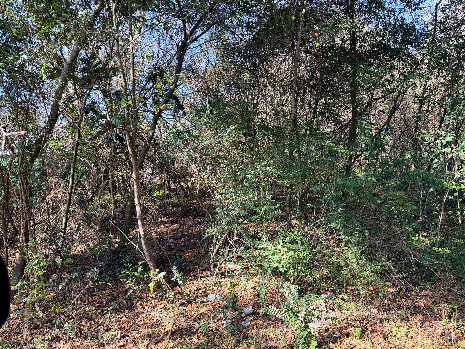 TBD NW 151ST AVE, Alachua, FL 32615