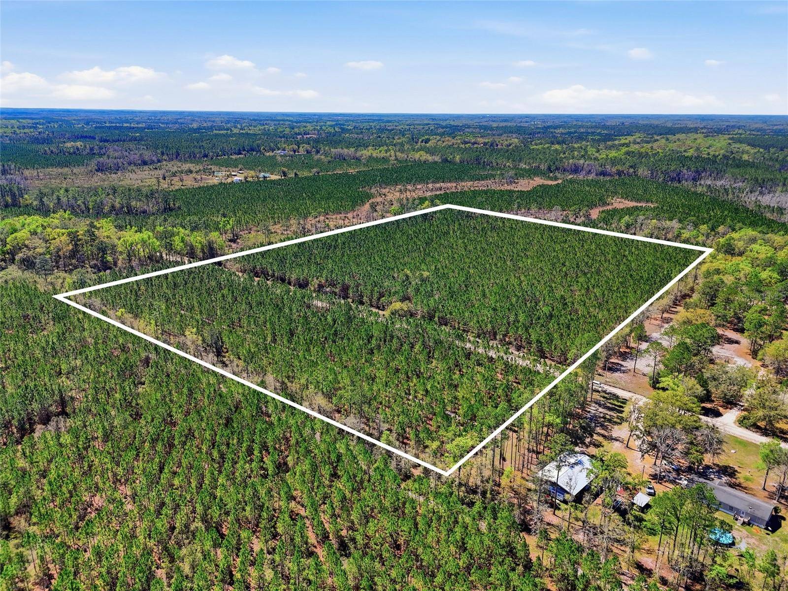 TBD SE POUNDS HAMMOCK RD, Lake City, FL 32025
