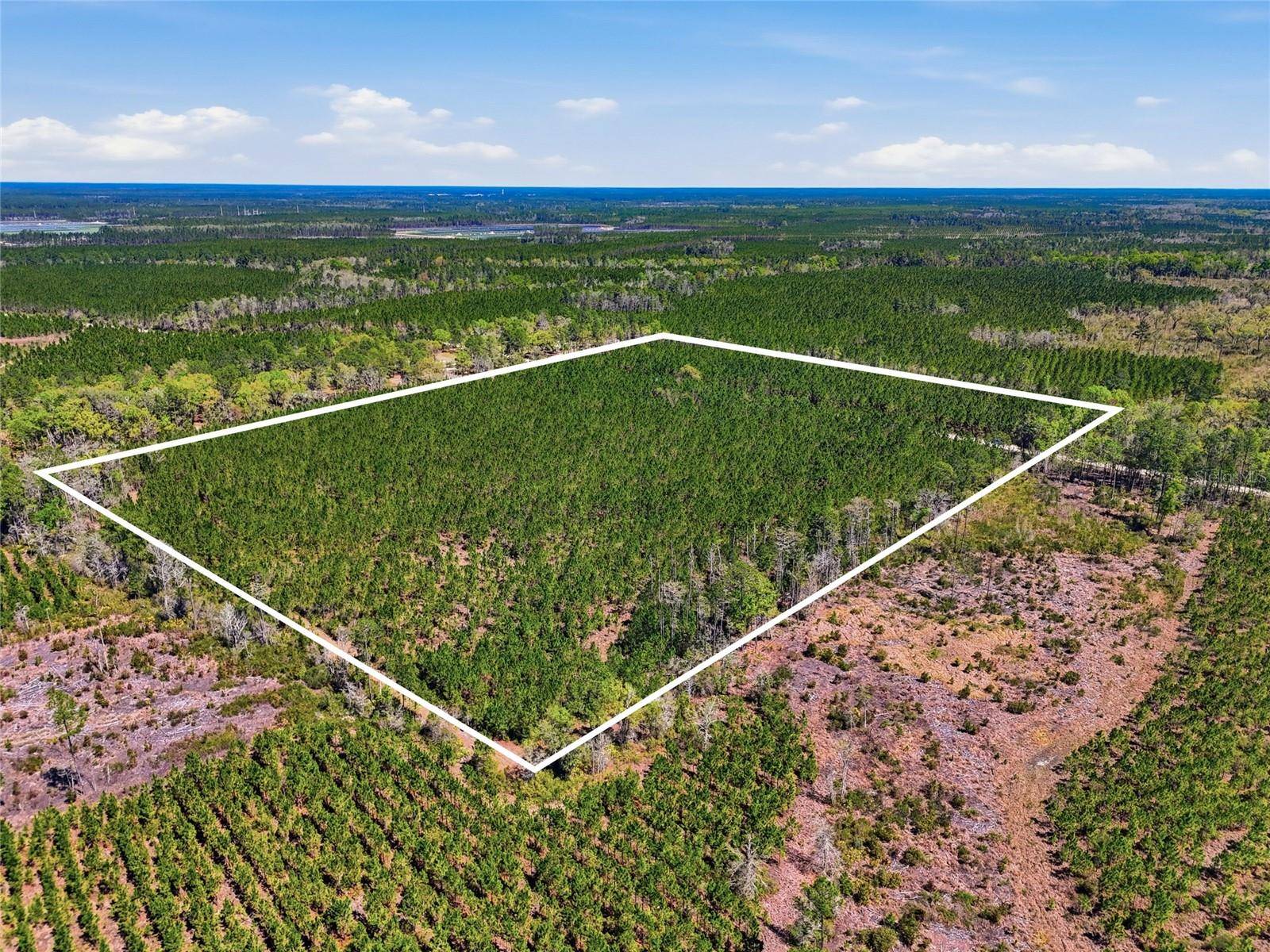TBD SE POUNDS HAMMOCK RD, Lake City, FL 32025