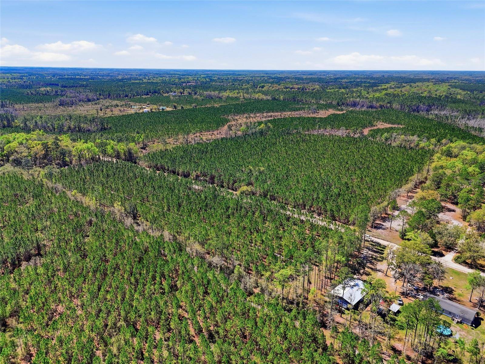 TBD SE POUNDS HAMMOCK RD, Lake City, FL 32025