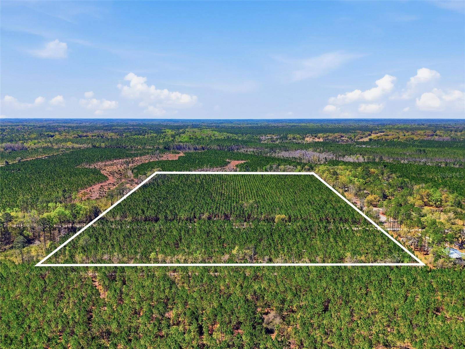 TBD SE POUNDS HAMMOCK RD, Lake City, FL 32025