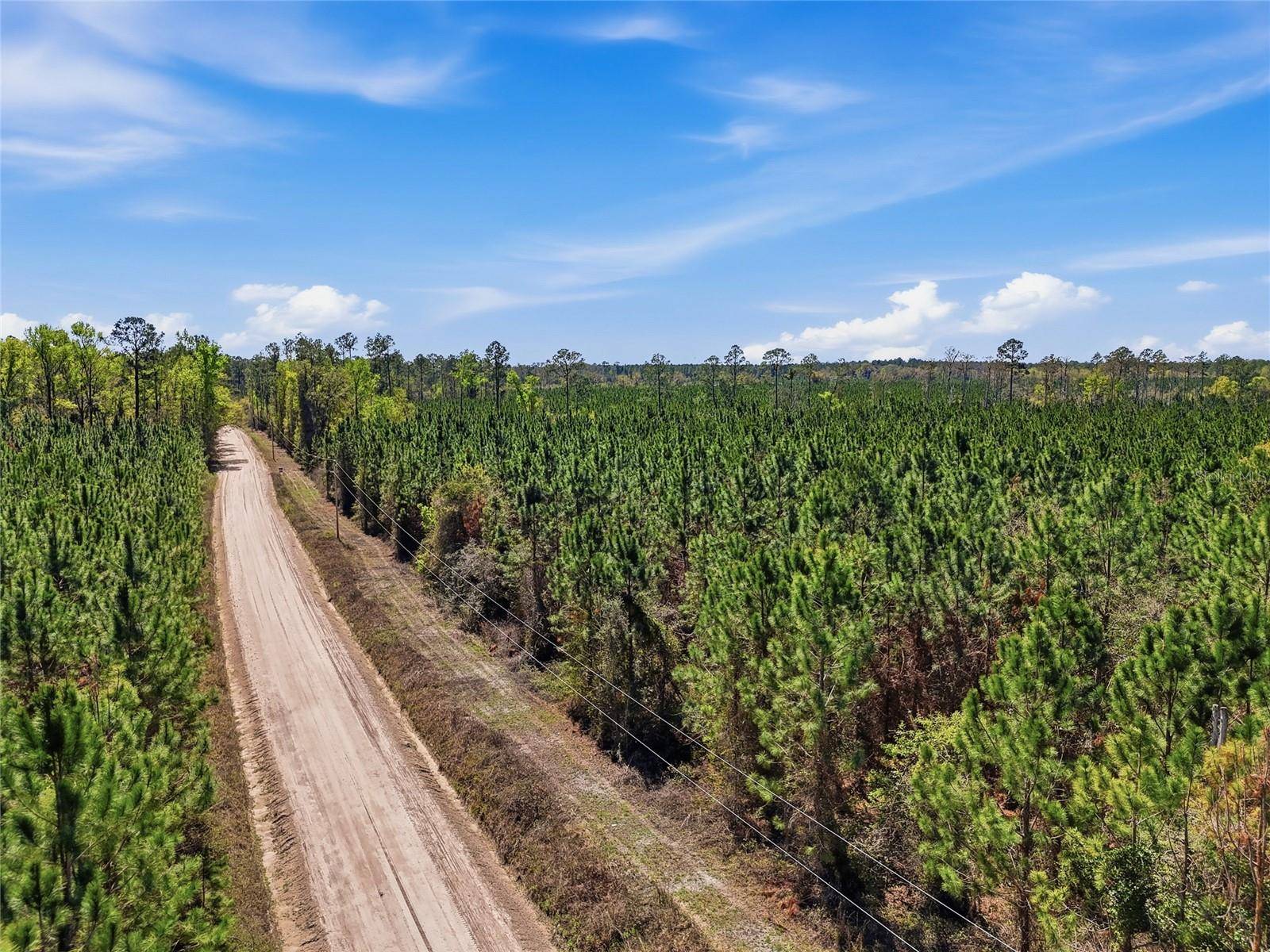 TBD SE POUNDS HAMMOCK RD, Lake City, FL 32025
