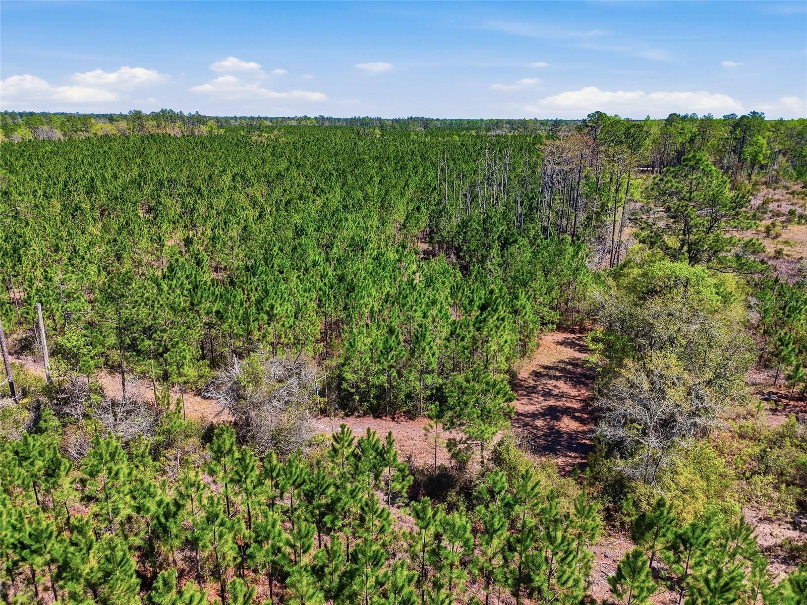 TBD SE POUNDS HAMMOCK RD, Lake City, FL 32025