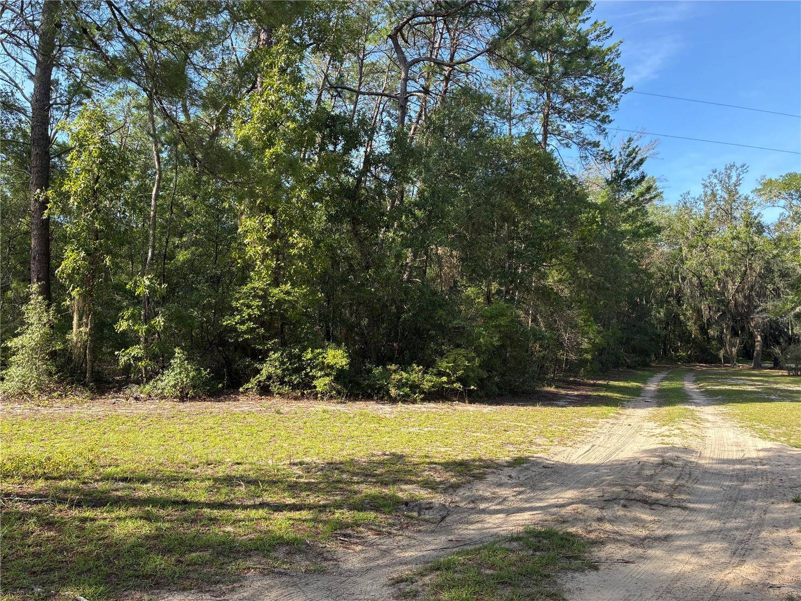 109 GREENWOOD RD, Florahome, FL 32140