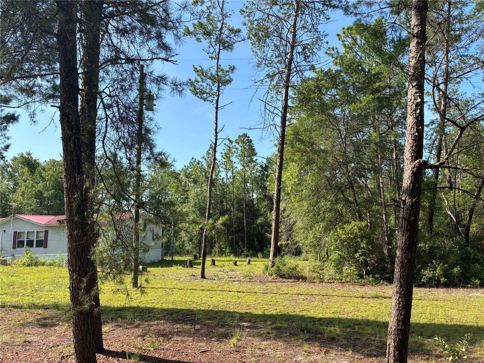 109 GREENWOOD RD, Florahome, FL 32140