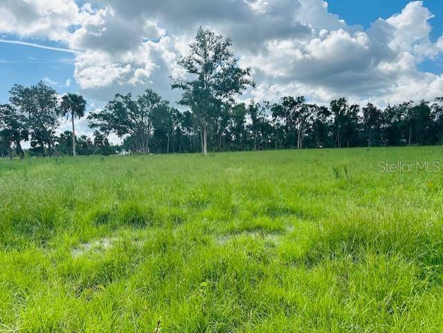 17450 SE HIGHWAY 19, Cross City, FL 32628