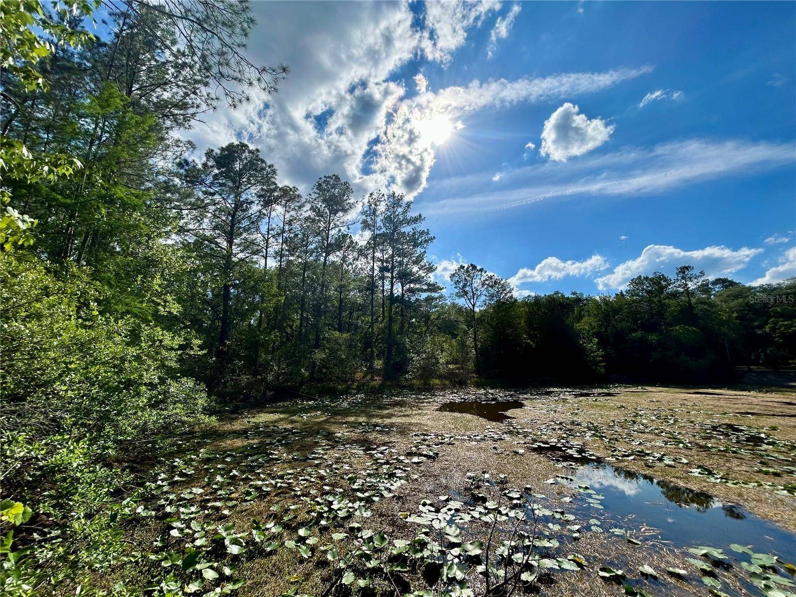4819 NE 211TH DR, Earleton, FL 32631