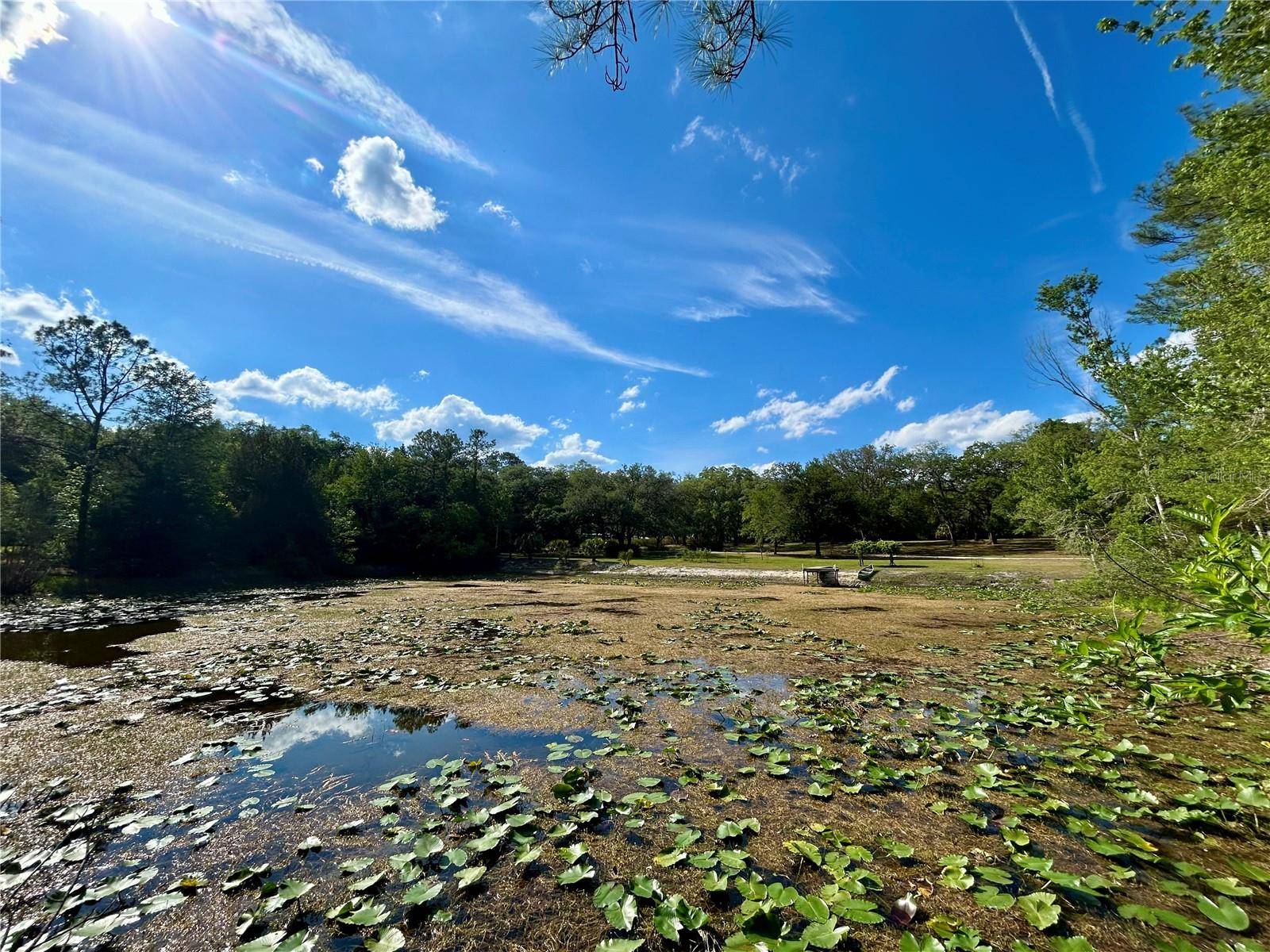 4819 NE 211TH DR, Earleton, FL 32631