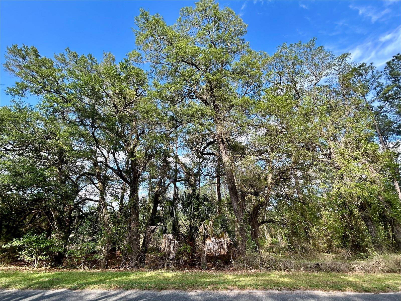 4819 NE 211TH DR, Earleton, FL 32631