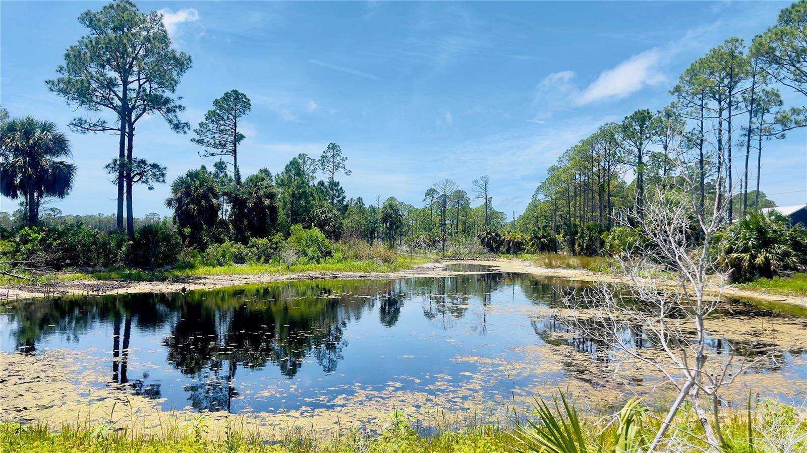 TBD SW 101ST LN, Cedar Key, FL 32625