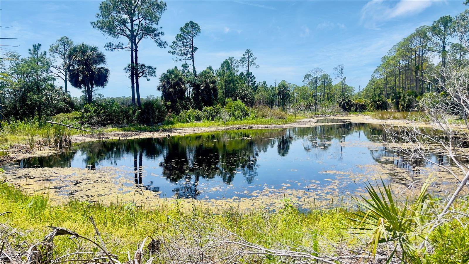 TBD SW 101ST LN, Cedar Key, FL 32625