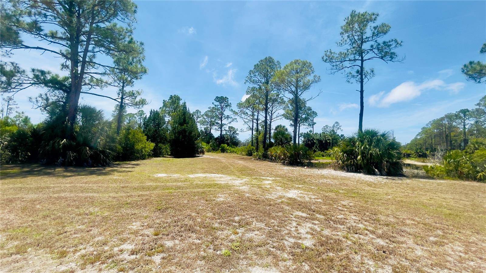 TBD SW 101ST LN, Cedar Key, FL 32625
