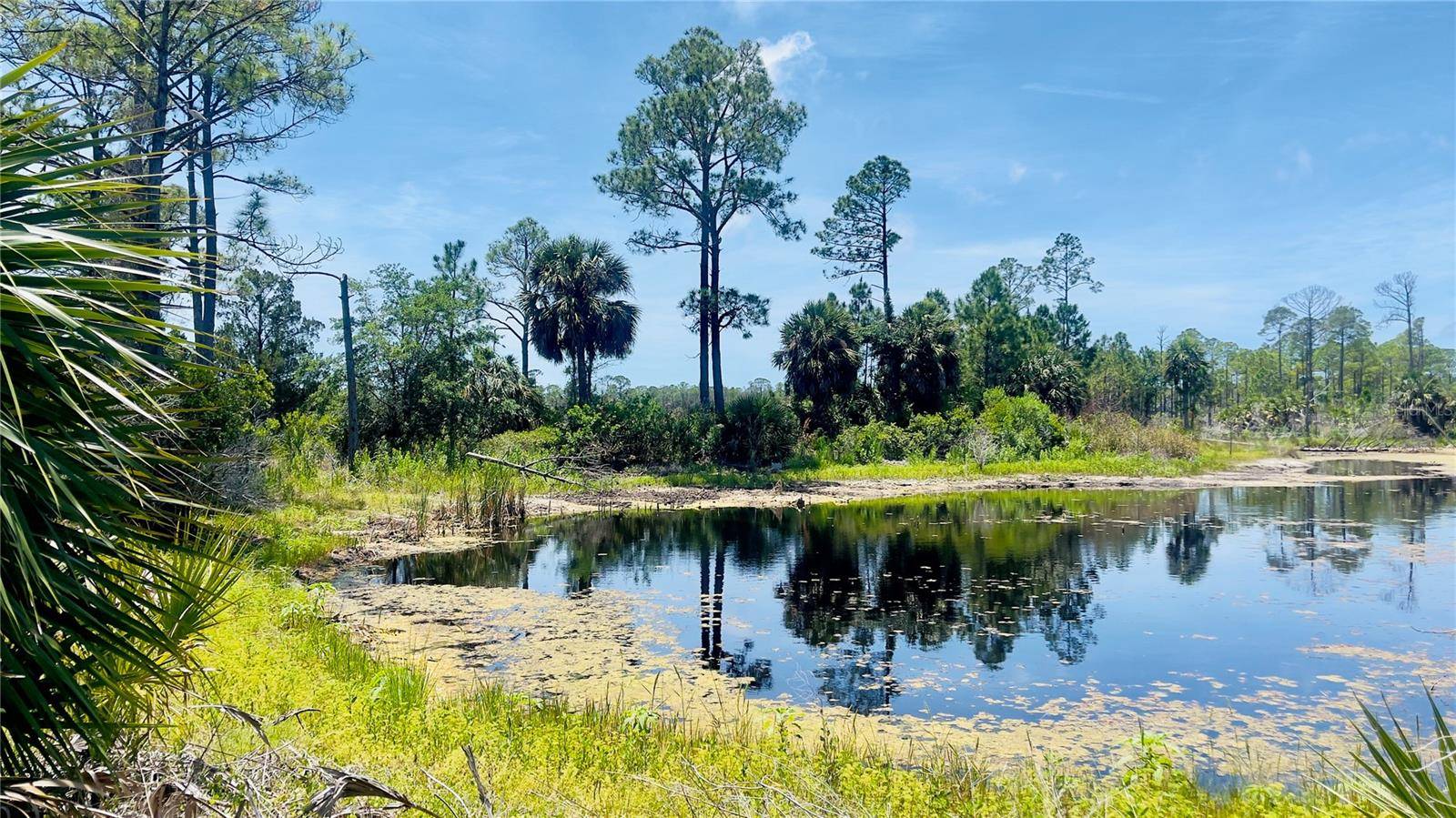 TBD SW 101ST LN, Cedar Key, FL 32625