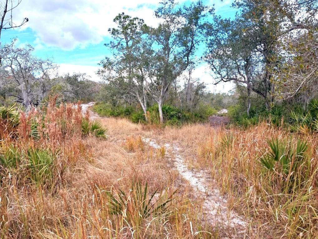 701 GOPHER TRL, Frostproof, FL 33843