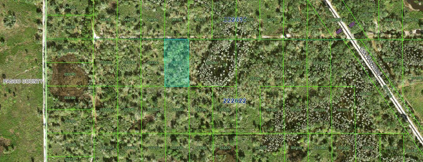 INACCESSIBLE TRACT, Kathleen, FL 33849