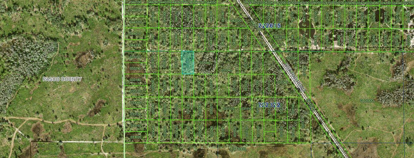 INACCESSIBLE TRACT, Kathleen, FL 33849