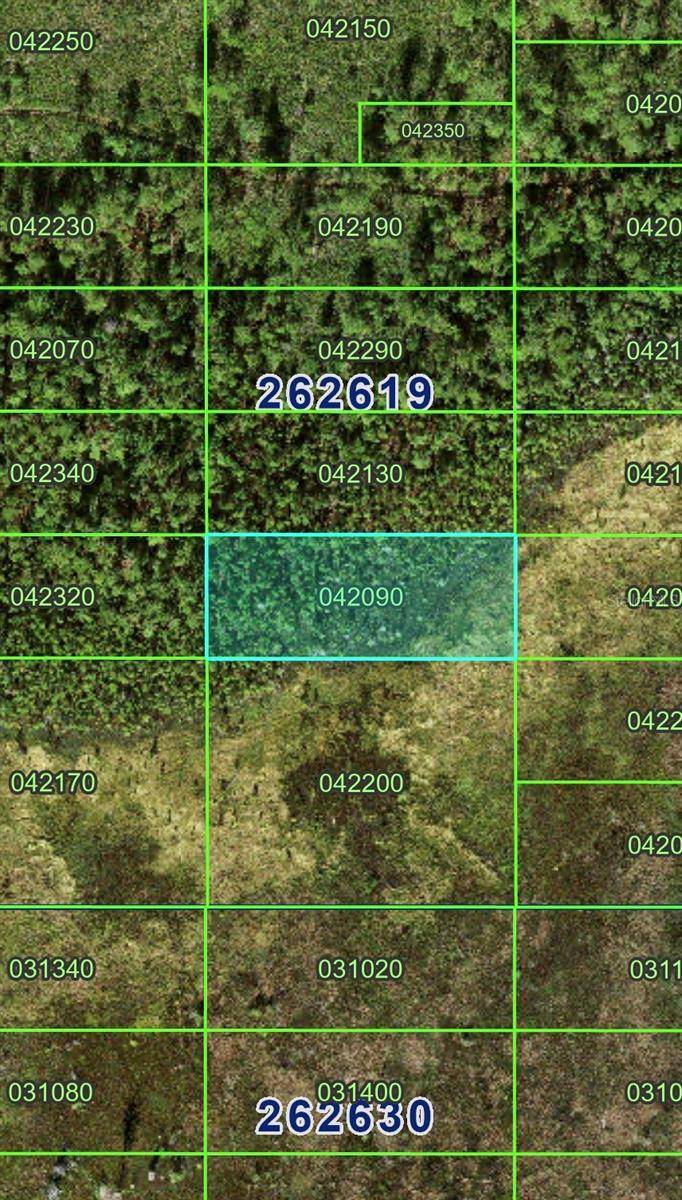 Polk City, FL 33868