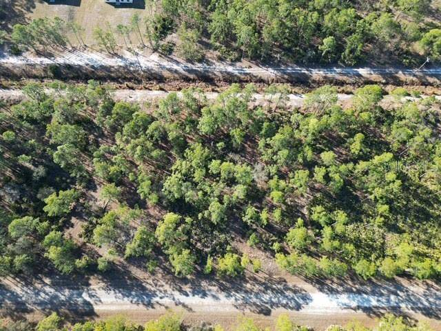 707 LAGUNA DR, Indian Lake Estates, FL 33855