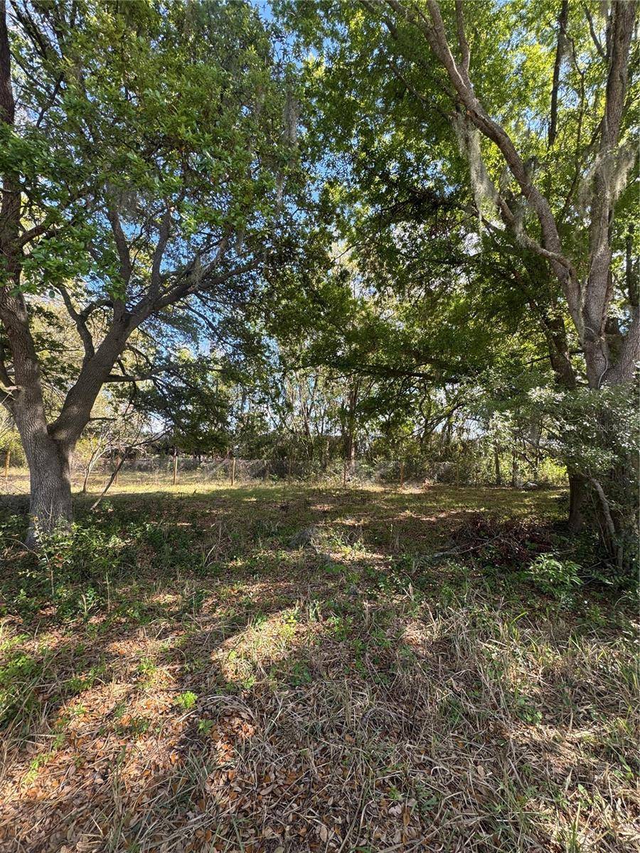 0 DENMARK ST, Bartow, FL 33830