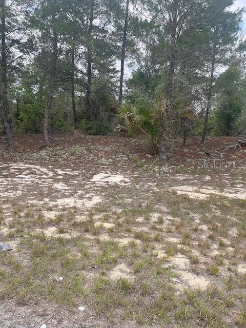 1342 HOMOSASSA DR, Poinciana, FL 34759