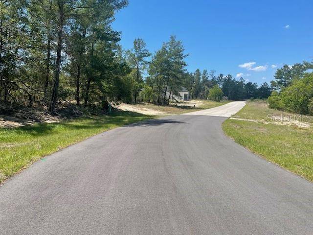 1342 HOMOSASSA DR, Poinciana, FL 34759