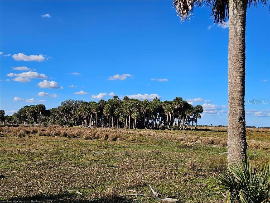 320 GRIGSBY RD, Venus, FL 33960
