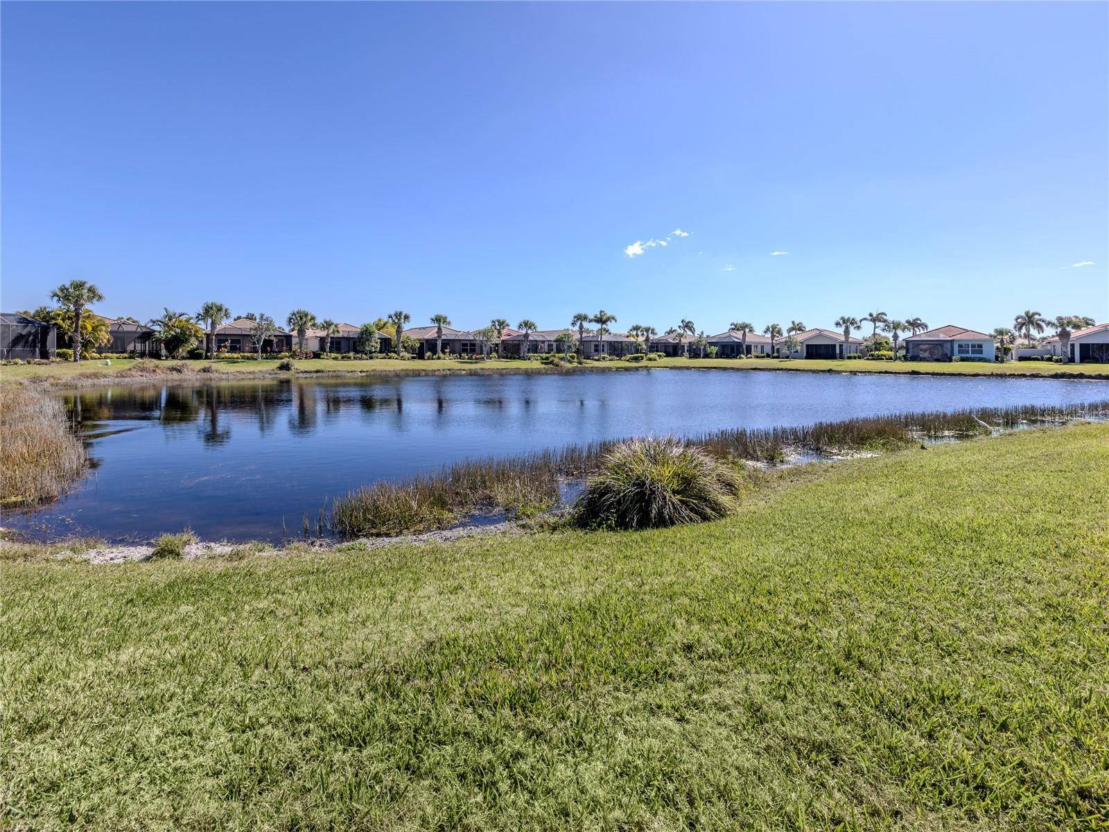 254 MESTRE PL, North Venice, FL 34275