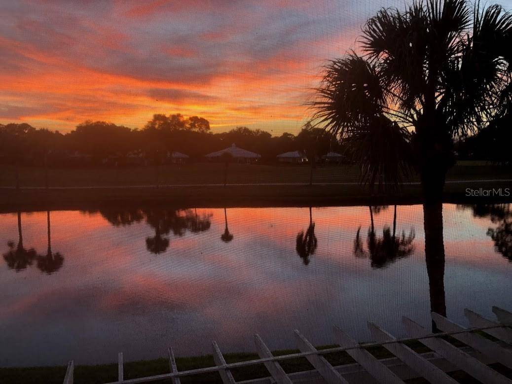 425 CERROMAR TER #459, Venice, FL 34293