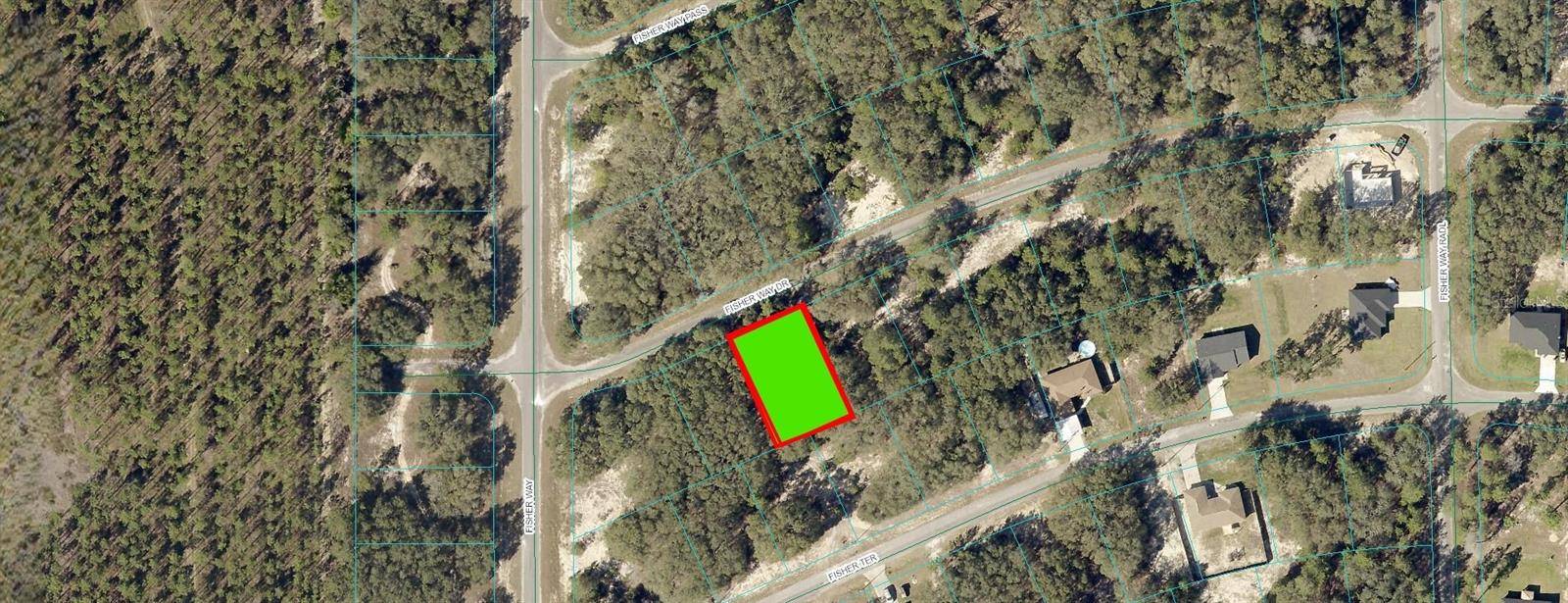 FISHER WAY DR, Ocklawaha, FL 32179