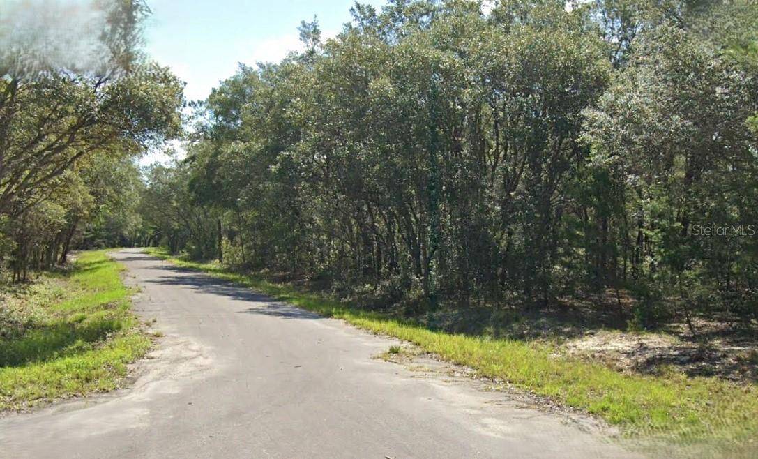 FISHER WAY DR, Ocklawaha, FL 32179
