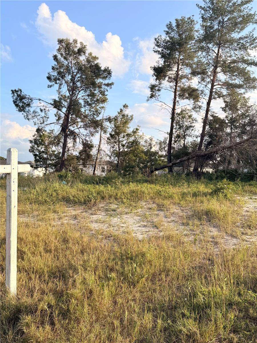 143 ZINNIA LN W, Kissimmee, FL 34759