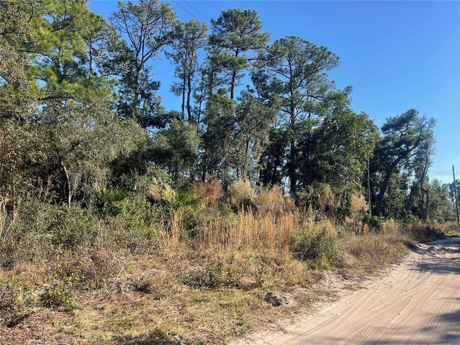 ROSE BUD DR, Deland, FL 32720