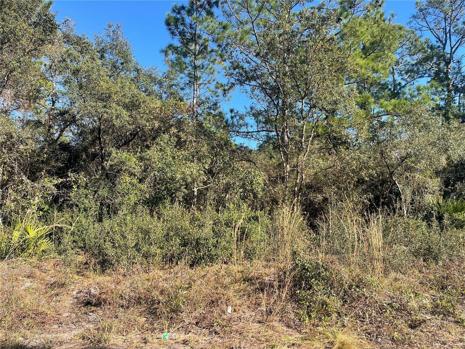 ROSE BUD DR, Deland, FL 32720