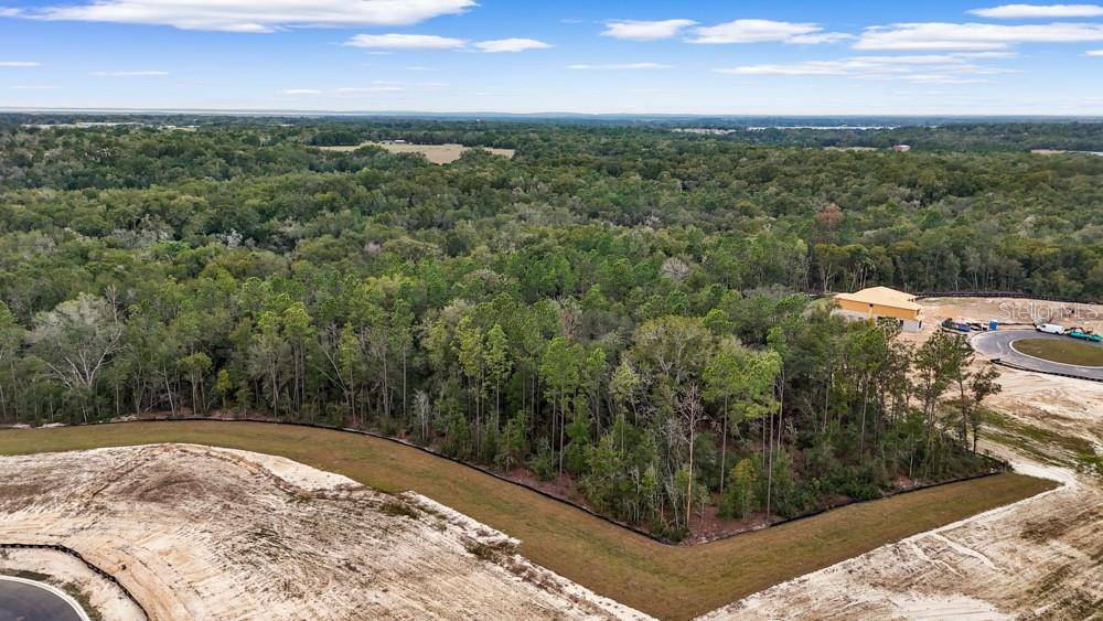 4683 HILLY HEIGHTS DR, Mount Dora, FL 32757