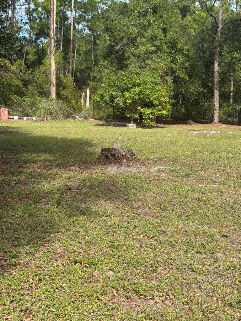 415 N VERDA ST, Clewiston, FL 33440