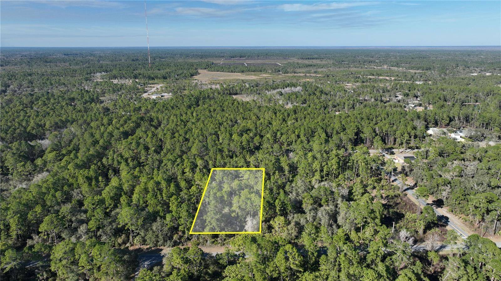 SAFFRON AVE, Eustis, FL 32736