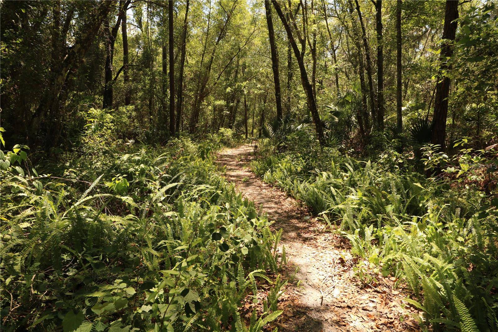 0 E FRANKLIN ST, Oviedo, FL 32765