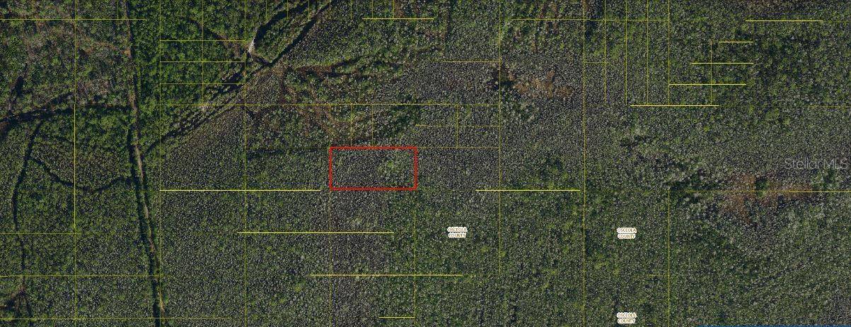 HOLOPAW GROVES RD, St Cloud, FL 34771