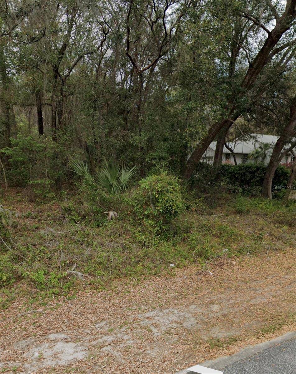 101 PINEY WOODS RD, Apopka, FL 32703