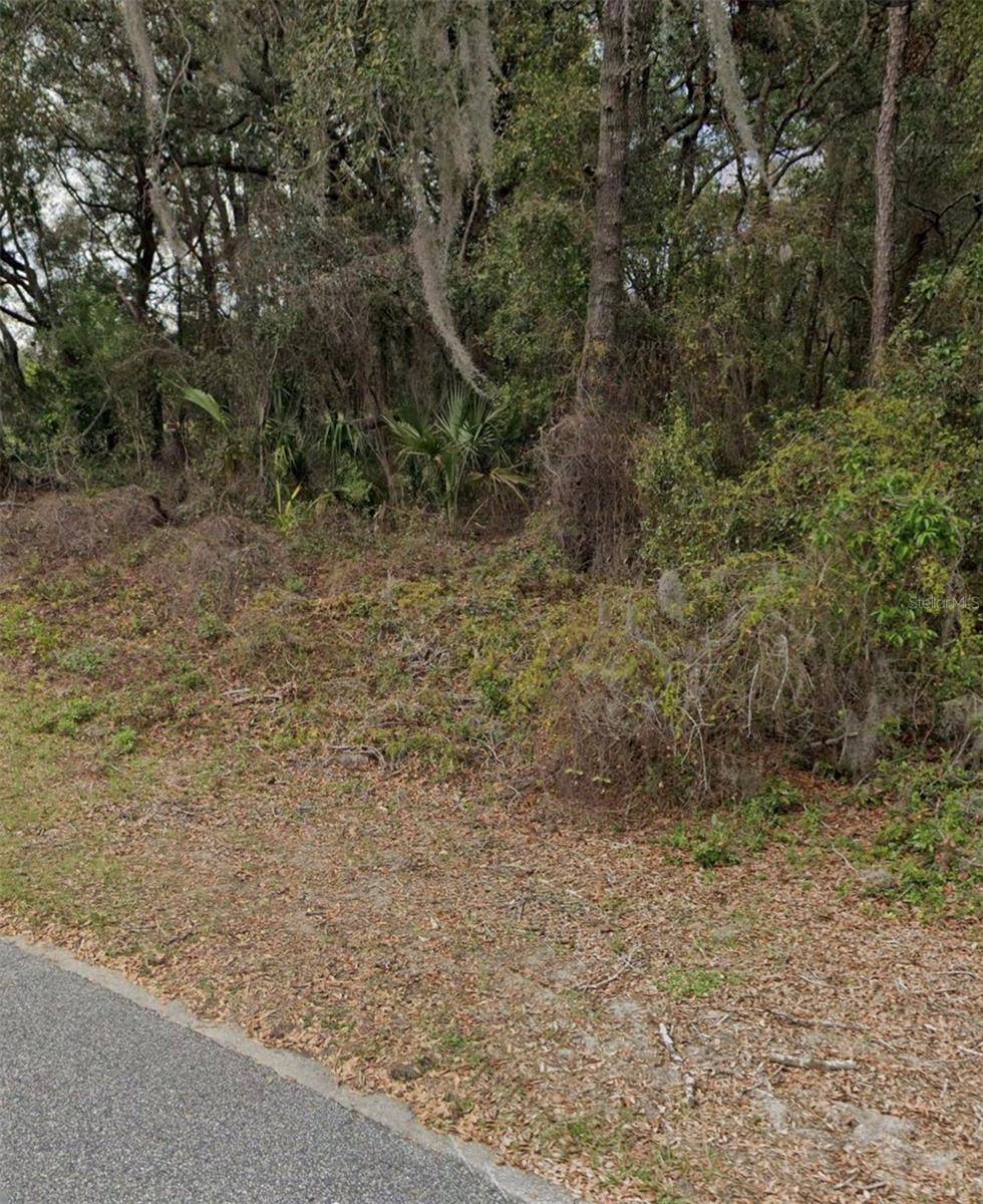 101 PINEY WOODS RD, Apopka, FL 32703