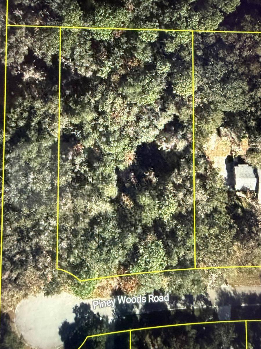101 PINEY WOODS RD, Apopka, FL 32703