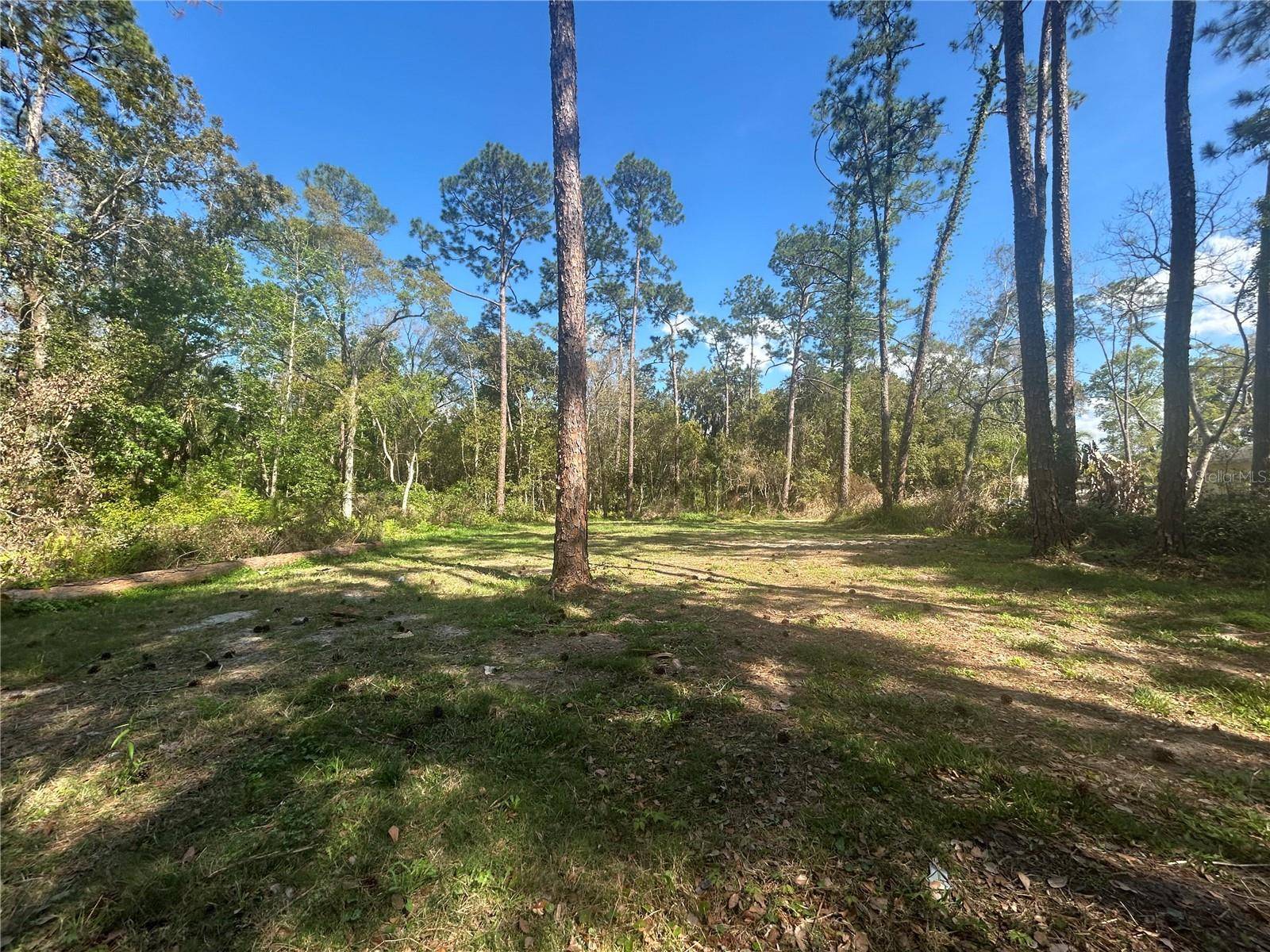 2648 S PARK AVE, Sanford, FL 32773