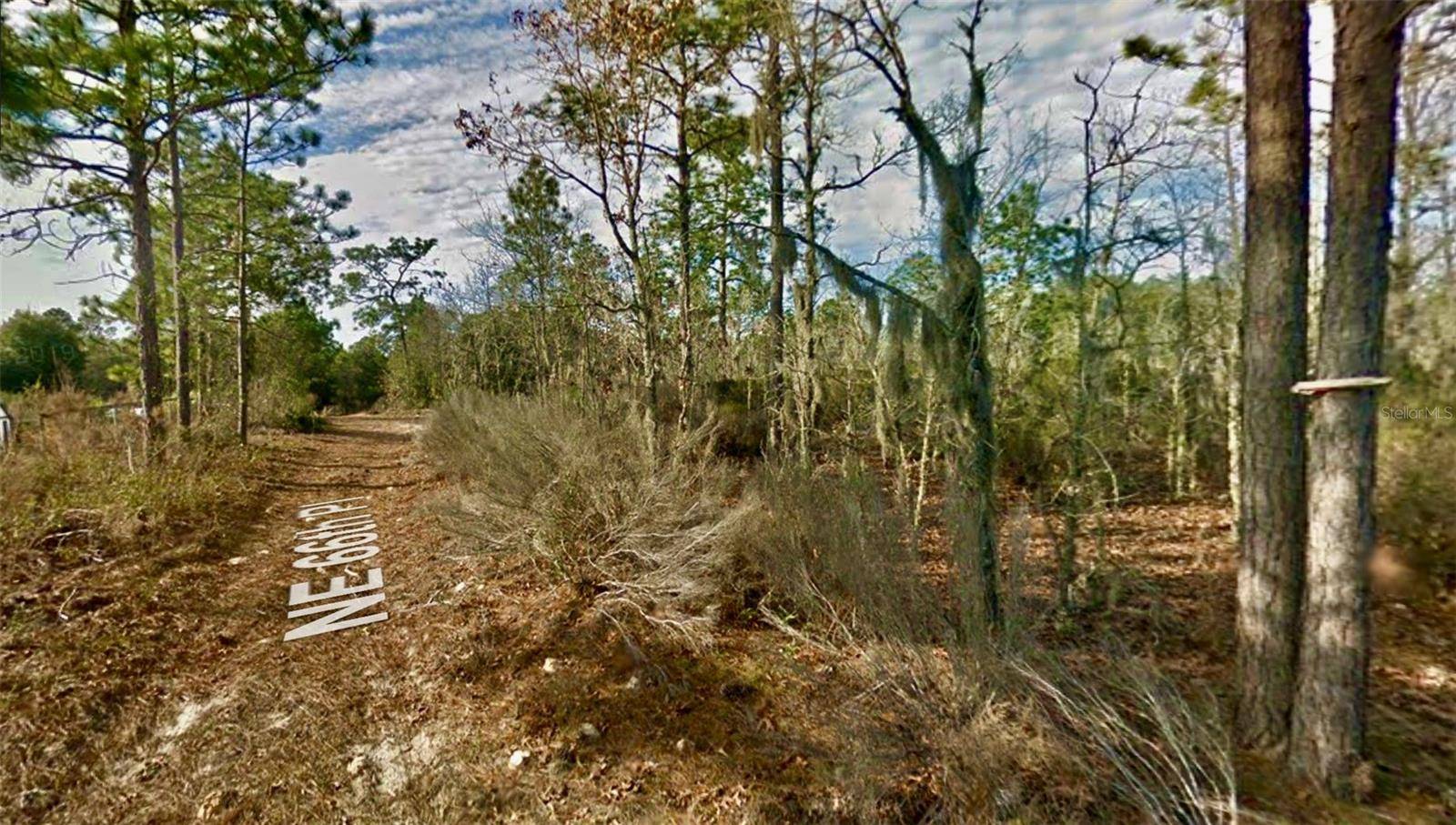 000 66TH PL. NE, Bronson, FL 32621