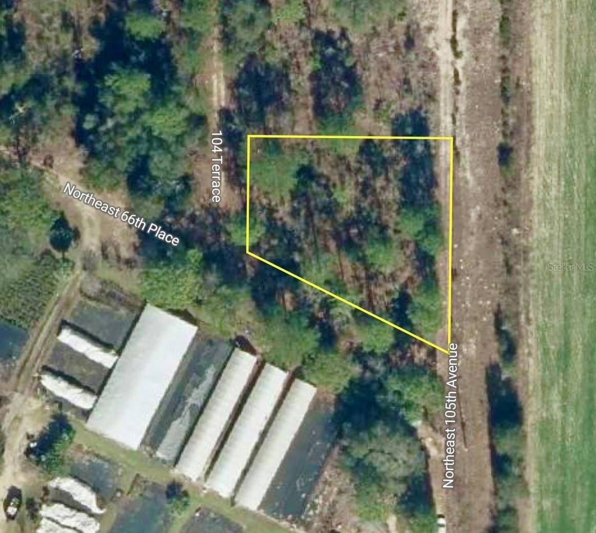 000 66TH PL. NE, Bronson, FL 32621