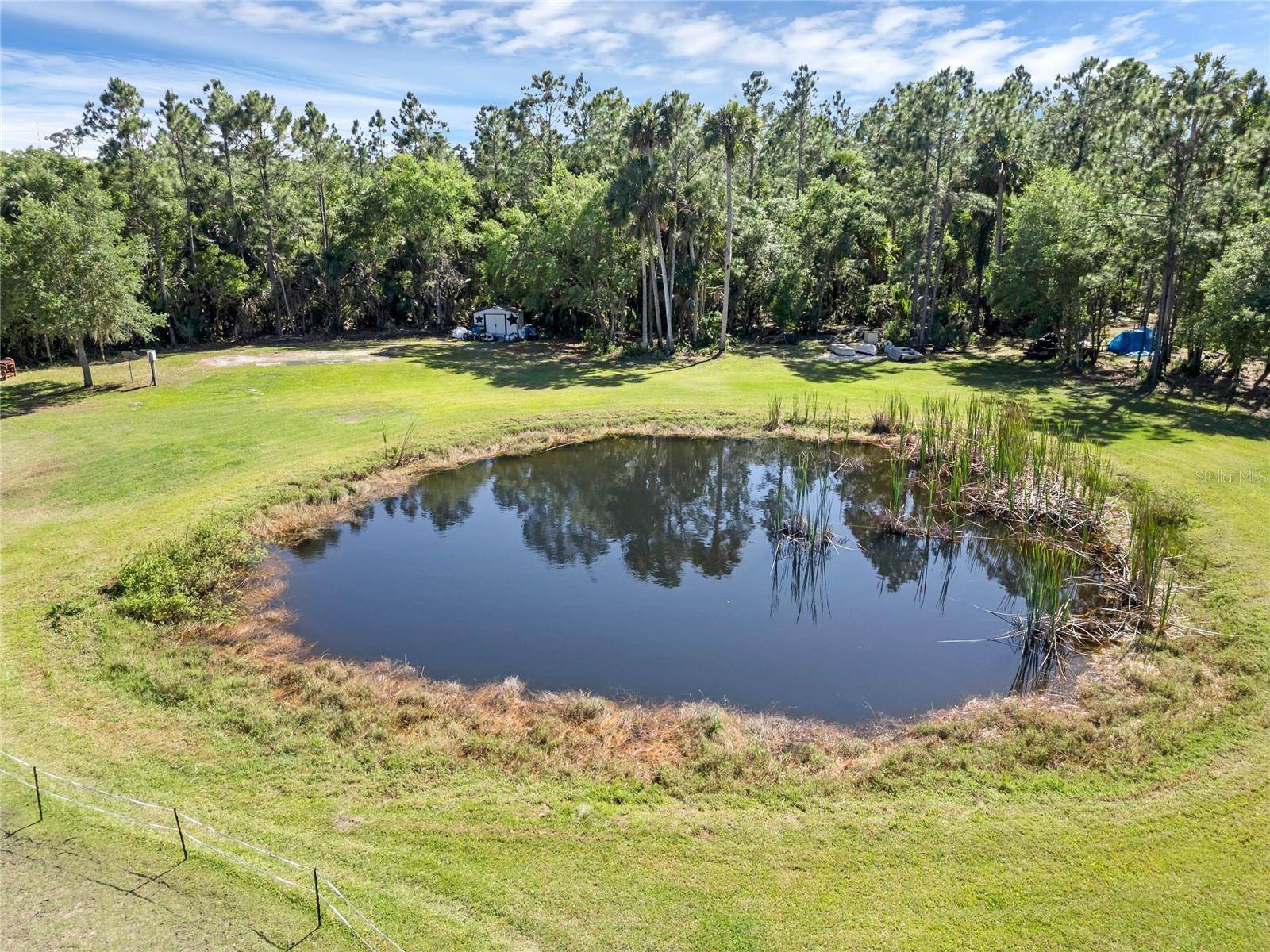 2321 WACCASSA ST, Geneva, FL 32732